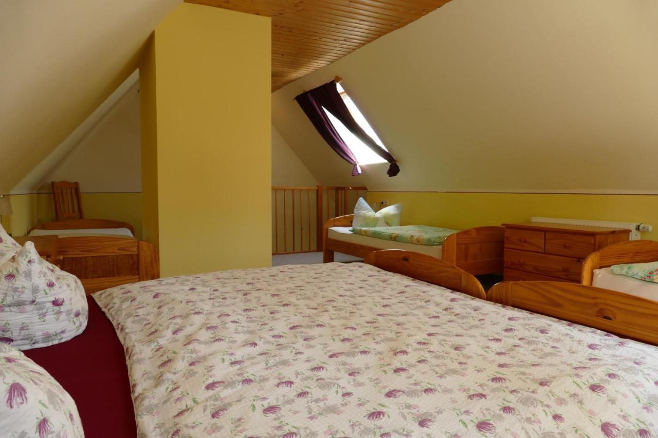No.5 - Ferienwohnung Schkade Kleingiesshubel المظهر الخارجي الصورة