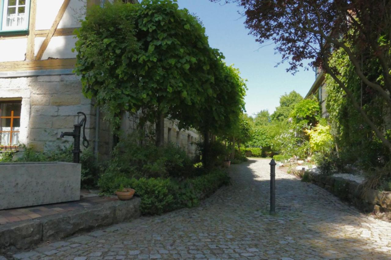 No.5 - Ferienwohnung Schkade Kleingiesshubel المظهر الخارجي الصورة