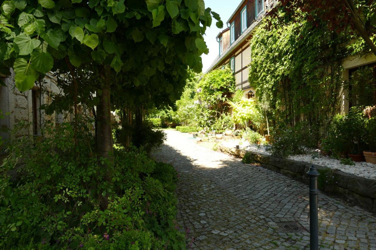 No.5 - Ferienwohnung Schkade Kleingiesshubel المظهر الخارجي الصورة