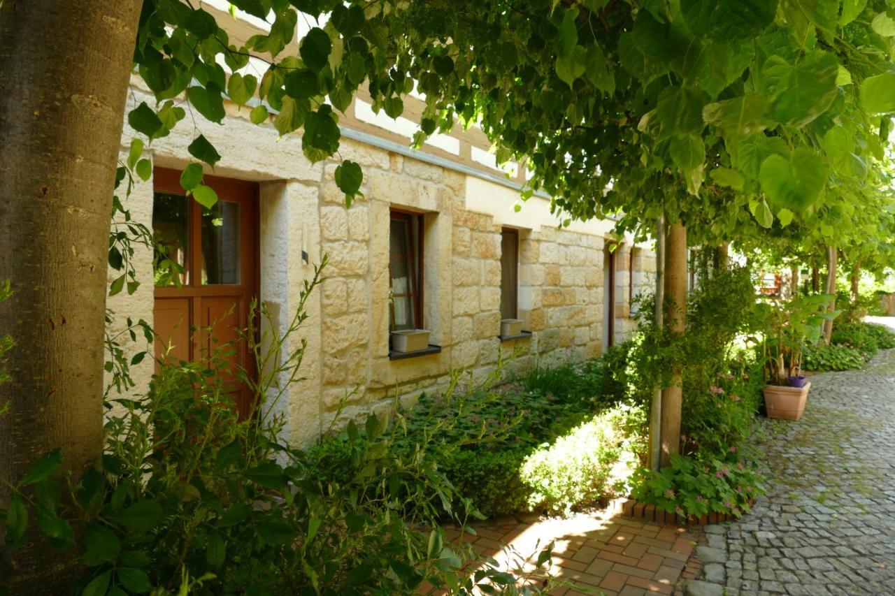 No.5 - Ferienwohnung Schkade Kleingiesshubel المظهر الخارجي الصورة